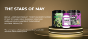 Stars of the month